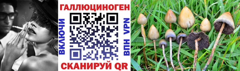 Псилоцибиновые грибы прущие грибы Бирюсинск